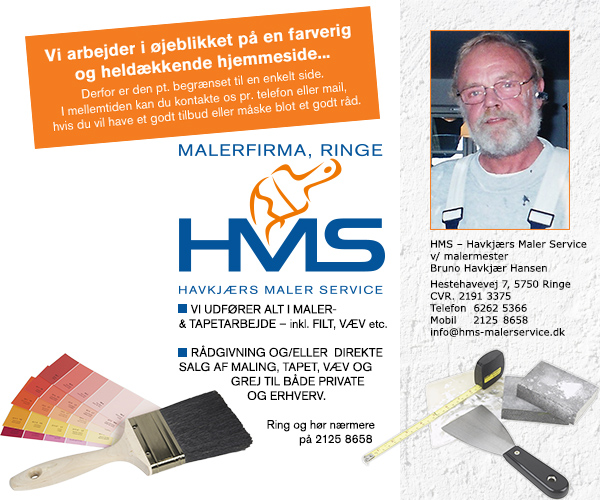 HMS - Havkjær Maler Service